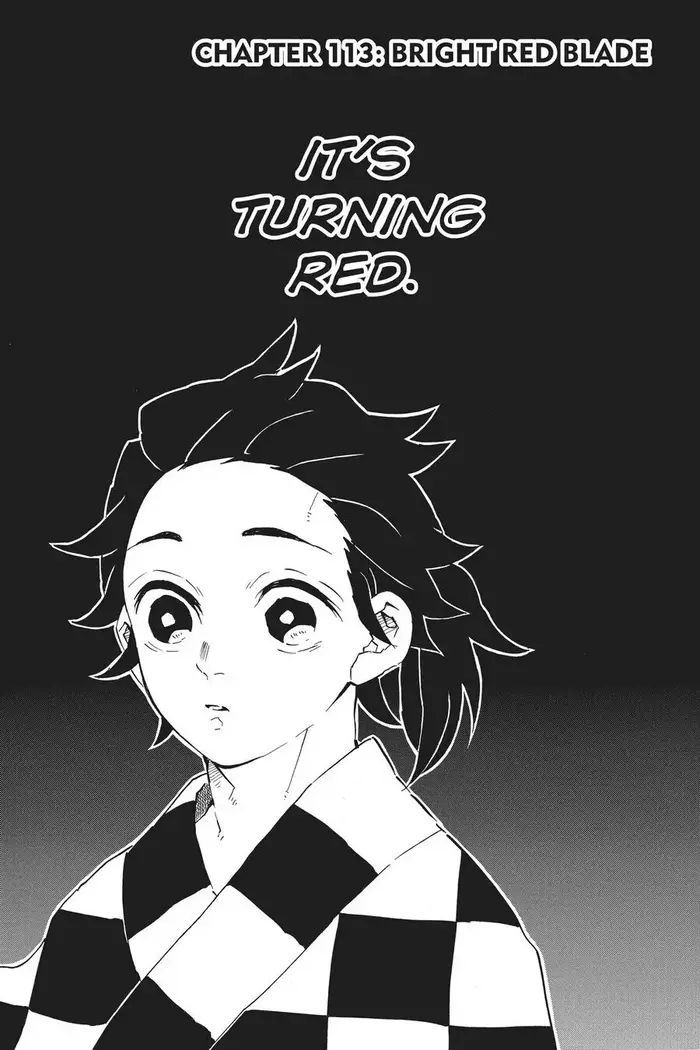 Demon Slayer Chapter 113 image 01_optimized